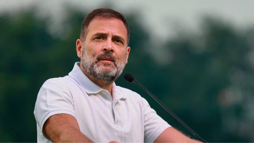Rahul Gandhi and the Citizenship Controversy: Legal Challenges Resurface Amid Political Crossfire