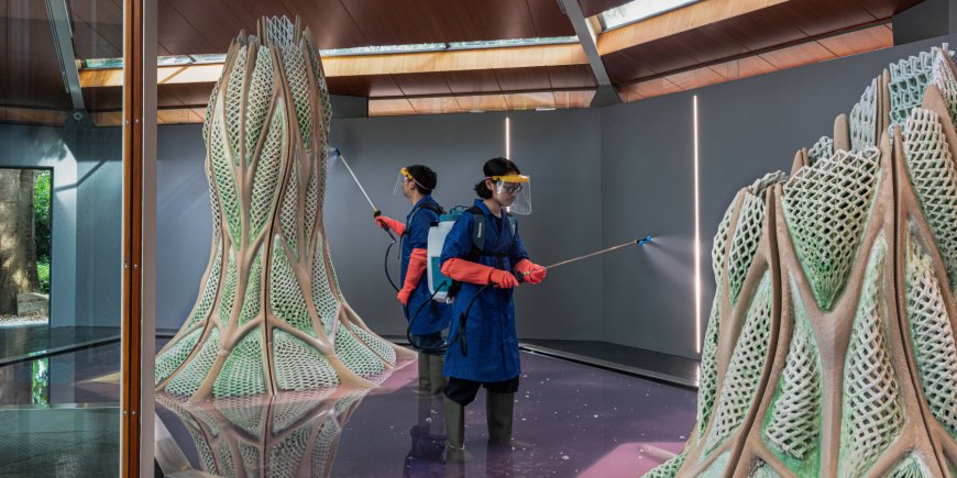 Breathing Walls: Swiss Scientists Develop Living Building Materials That Capture Carbon Emissions