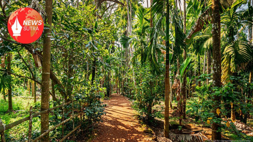 The Environment of India: A Diverse Landscape Facing Urgent Challenges and Hopeful Solutions"
