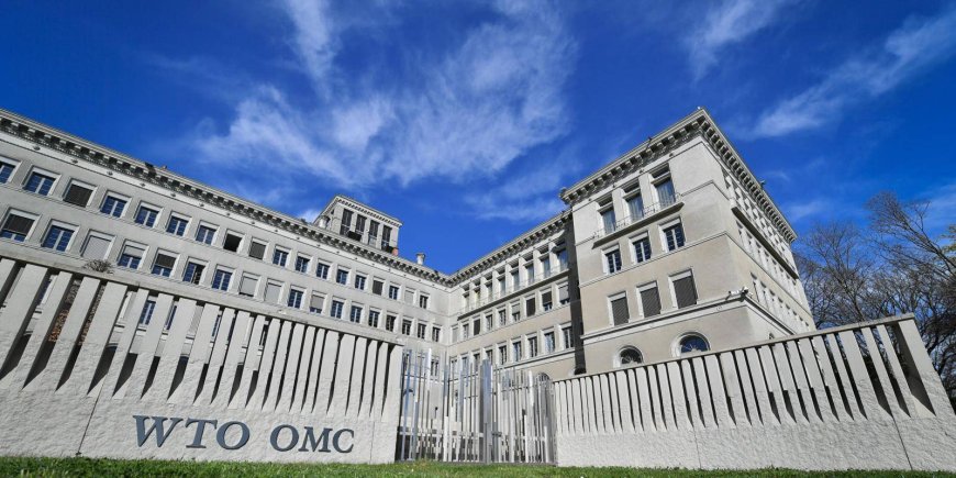 India Takes WTO Route to Challenge U.S. Auto Tariffs, Threatens $725M in Retaliatory Duties