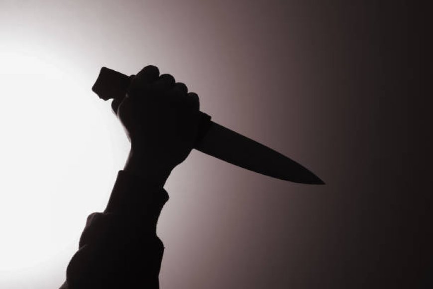 Delhi’s Triple Tragedy: Man Arrested After Brutal Murder of Former Partner and Infant Child