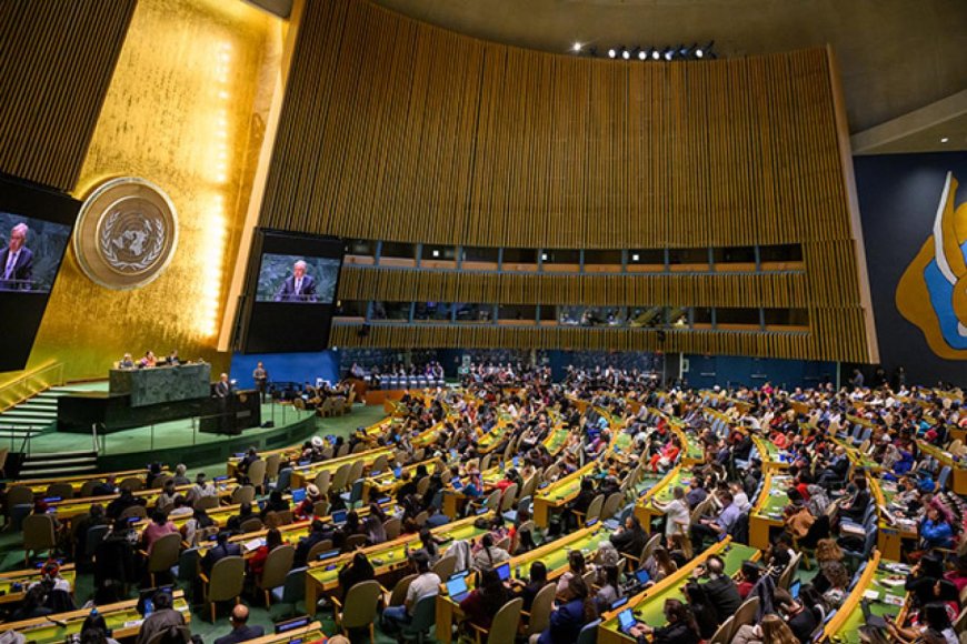 Turning Point for the Planet: What the UN General Assembly’s Climate Emergency Declaration Really Means