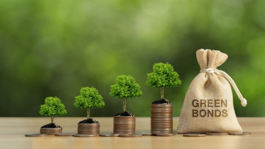 Green Bonds on the Rise: A Smart Bet or Just Sustainable Hype?