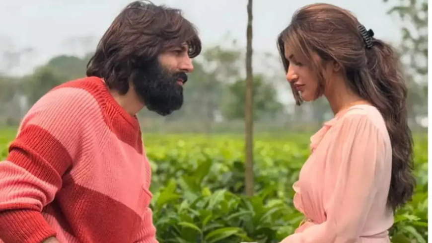 Bollywood’s 2025 Debuts: Kartik–Sreeleela, Hrithik–Kiara & New Jodis Set to Spark Box Office Chemistry
