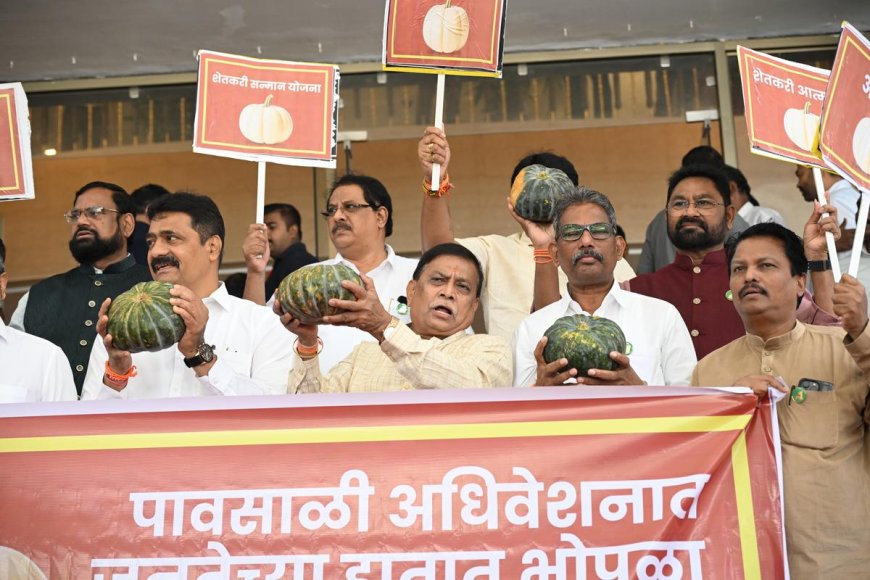 Maharashtra’s “Pumpkin Protest”: How Farmers Turned Vegetables into a Powerful Symbol of Rural Despair