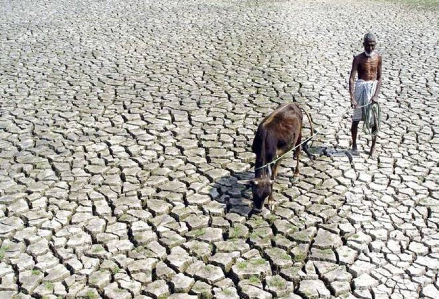 Assam Sounds Alarm: ₹35 Crore Help Sought from Centre as Kharif Paddy Faces Drought Crisis