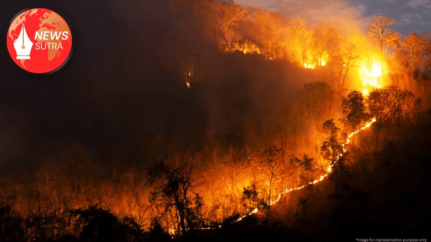Scorching Summer Inferno: Wildfires Ravage Turkey and Cyprus Amid Record Heatwave