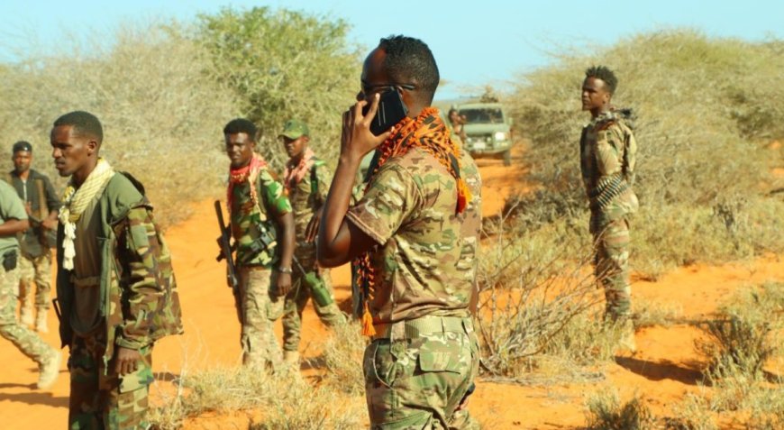 Al-Shabab Captures Strategic Town of Mahaas in Central Somalia, Raising Alarm Over Growing Instability