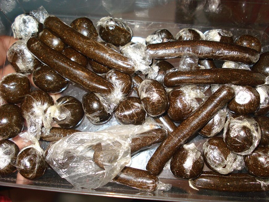Thane Police Bust Inter-State Drug Network, Seize ₹3.39 Crore Charas with Nepal Links