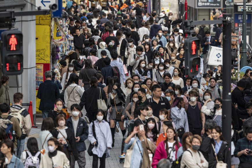 Japan’s Population Crashes by Over 900,000 in 2024—A Deepening Demographic Emergency