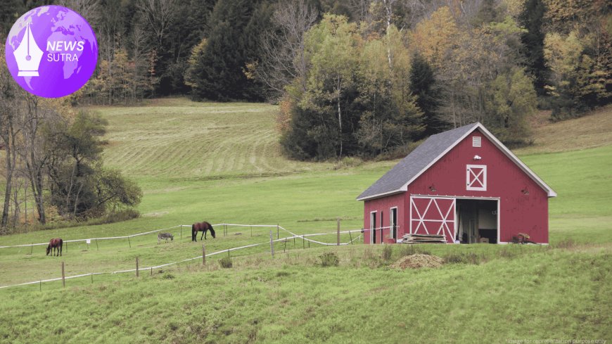 Rural America’s Digital Revival: How Remote Work Is Fueling the Next Tech Boom