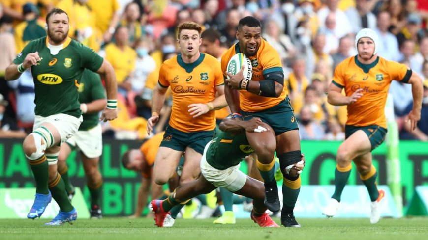 Wallabies Gear Up for Historic Challenge Against Springboks in Johannesburg