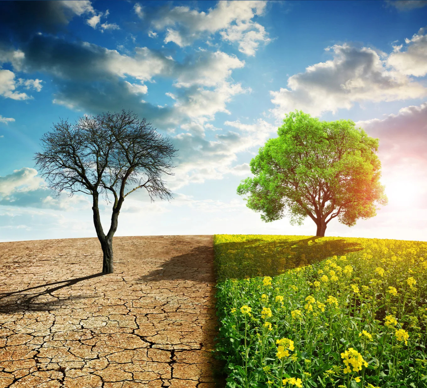 Nano4EARTH: Harnessing Nanotechnology to Combat Climate Change