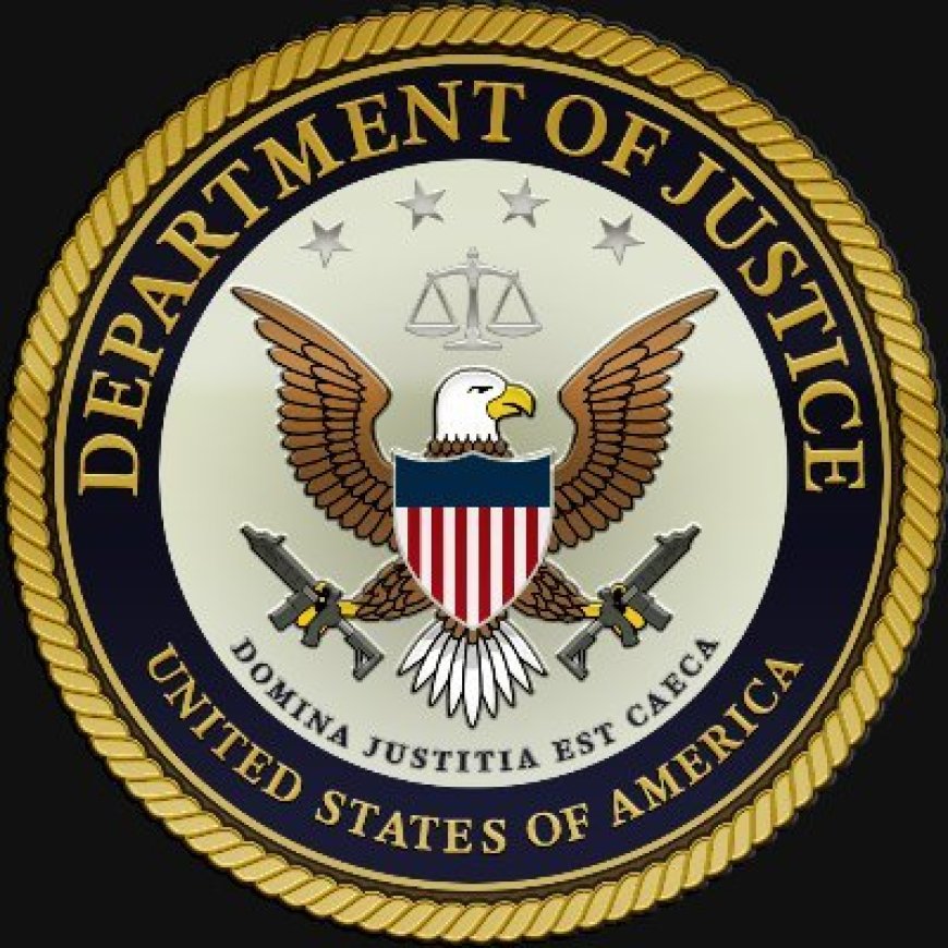 Hoagie Havoc in D.C.: Ex-DOJ Employee Faces Felony After Throwing a Sandwich at Federal Officer
