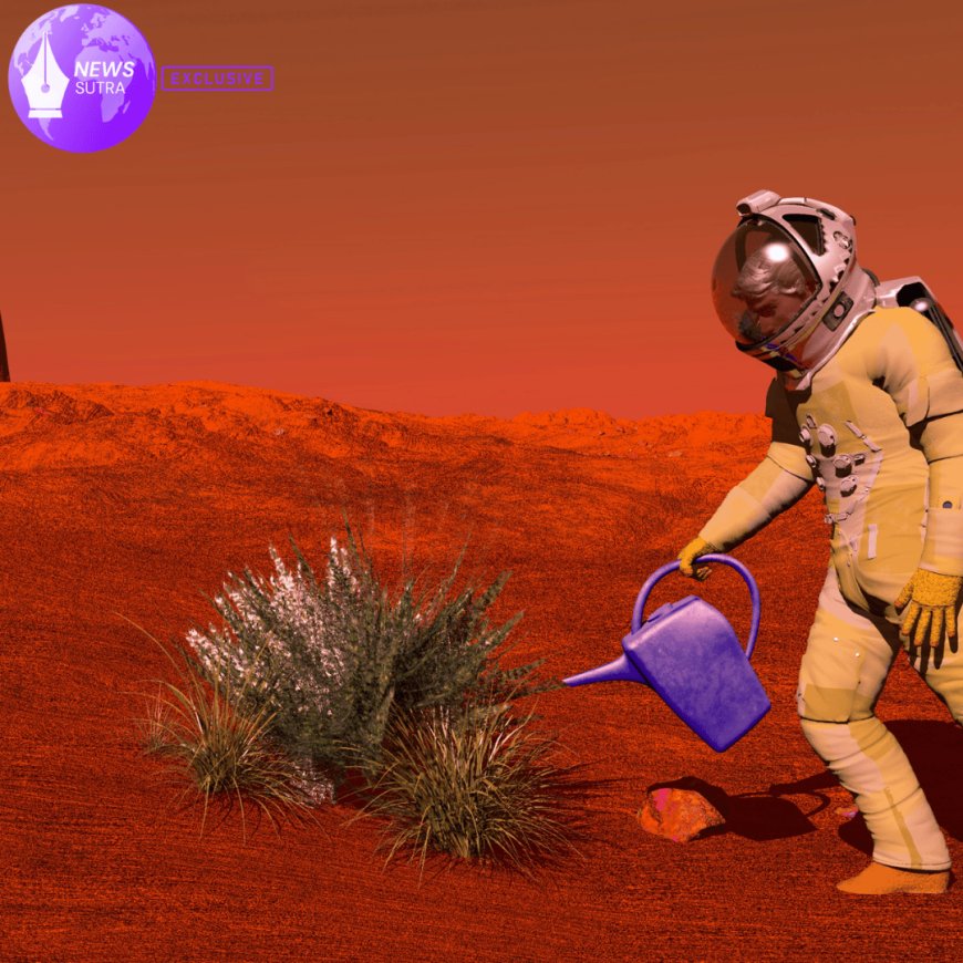 Inside NASA’s Bold Mars Habitat Tests: What Isolation Experiments Reveal About Future Settlements