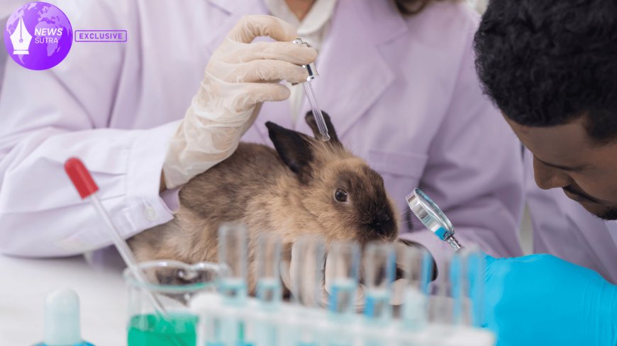 Phasing Out Animal Research: Are US Labs Ready for AI Alternatives?