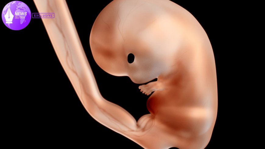 Cracking the Code of Life: US Labs Unveil Human Embryo Implantation Breakthrough