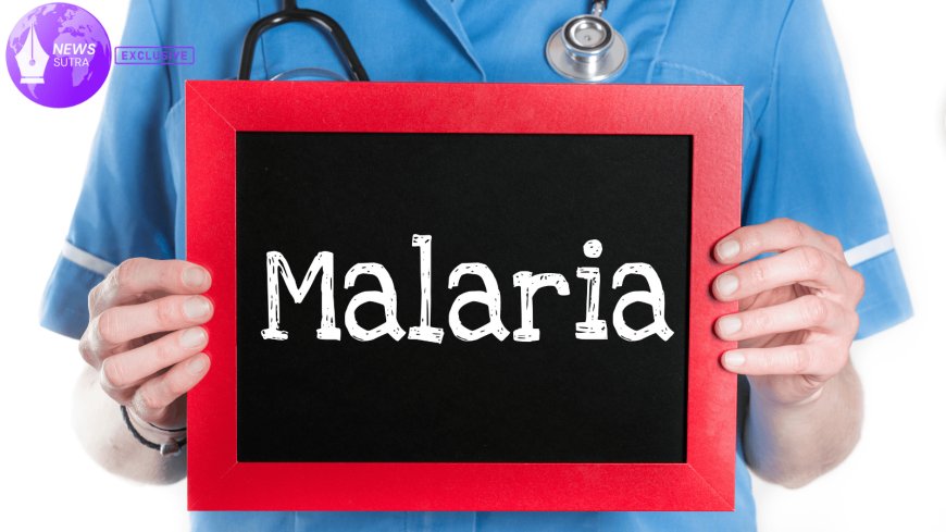 Climate Change and Malaria: U.S. Faces Rare Local Transmission Fears After Second Case Confirmed