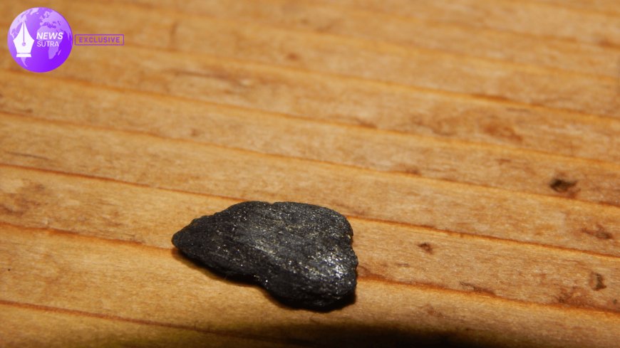 Biochar Boom: How U.S. Farmers Are Using Ancient Soil Solutions to Fight Fertilizer Shortages