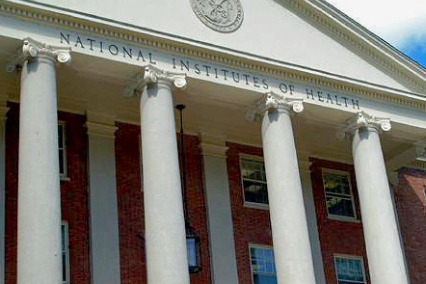 NIH’s $2 Billion Grant Cuts: Biotech Startups Face Harsh Reality Amid Funding Shortfall