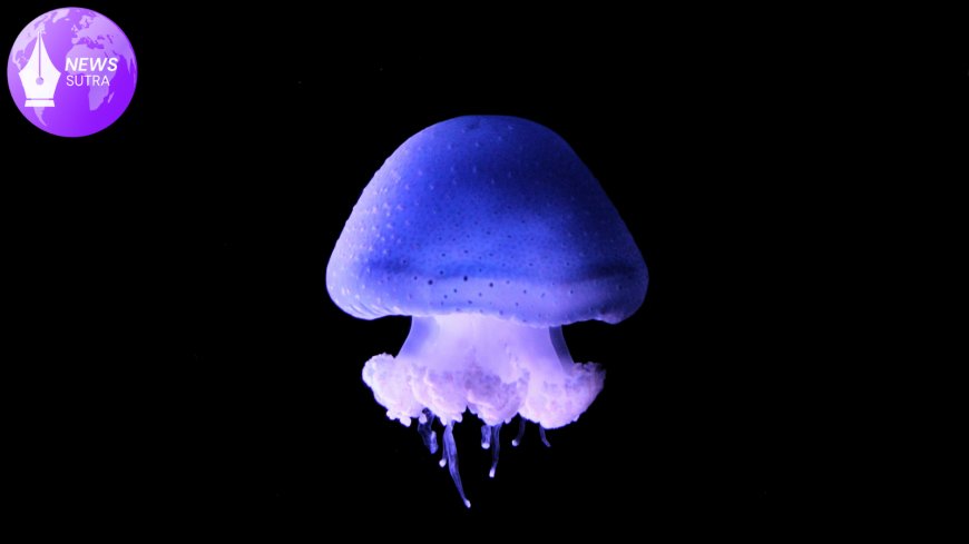 Evolution in Bursts: Study Finds Most Earth Species Arose from Explosive Diversification