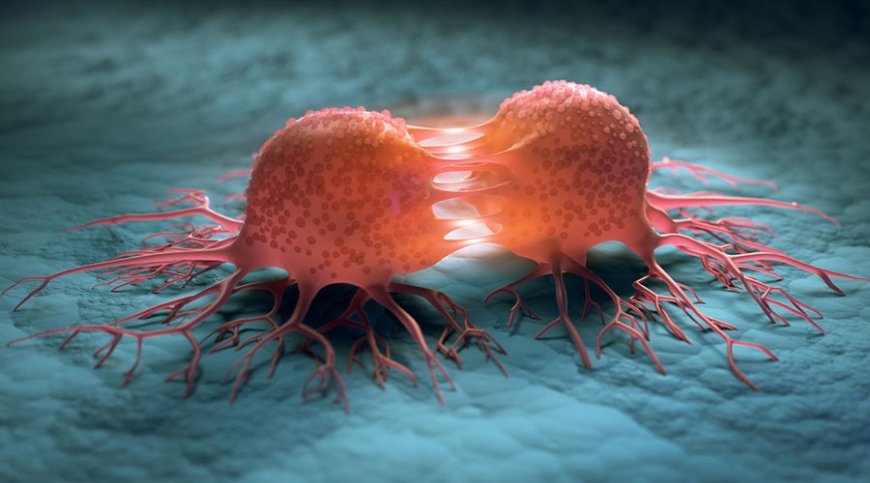 Eating Meat Linked to Lower Cancer Mortality in Large Study: New Insights Challenge Dietary Norms