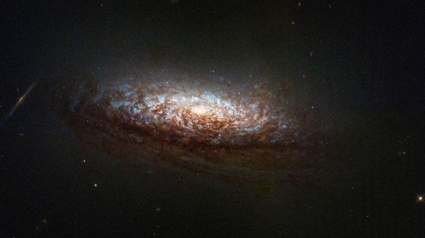 Hubble’s NGC 2835 Image Showcases AI Advancements in Astronomical Data Processing