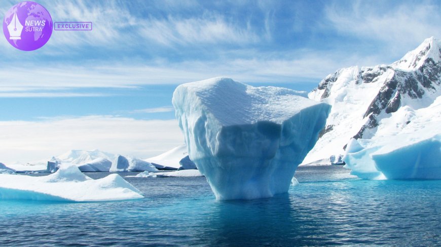 Antarctic Ecosystems and Global Weather: The Hidden Role of Wildlife Waste