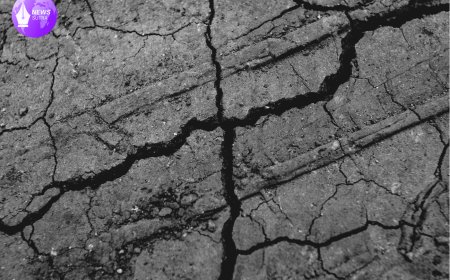 Minor Tremor Hits East Bay: 2.9 Magnitude Earthquake Near San Ramon Shakes Community